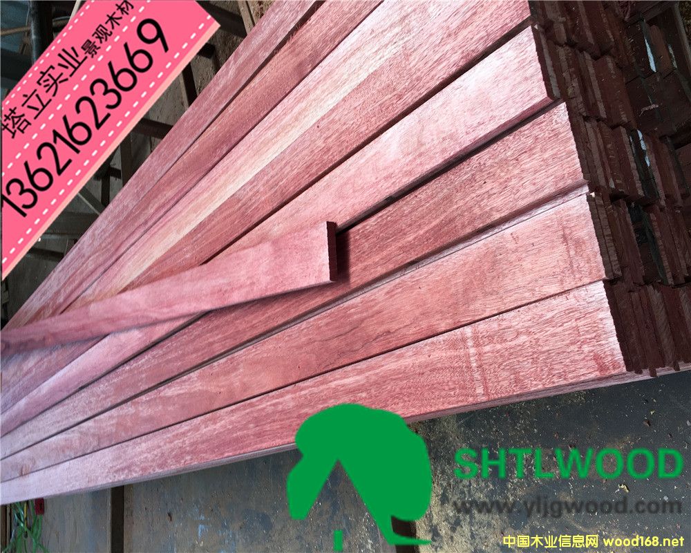 �t�����(h��)��ľ�Ĉ@�־��^�����ذ��y����ľ�ڂ���