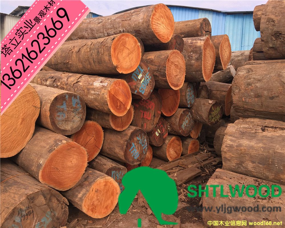 �̈́�ľ���t��ľ���t�������͵�ľ����ľ���y��ľ���ڂ��ҡ���ľ