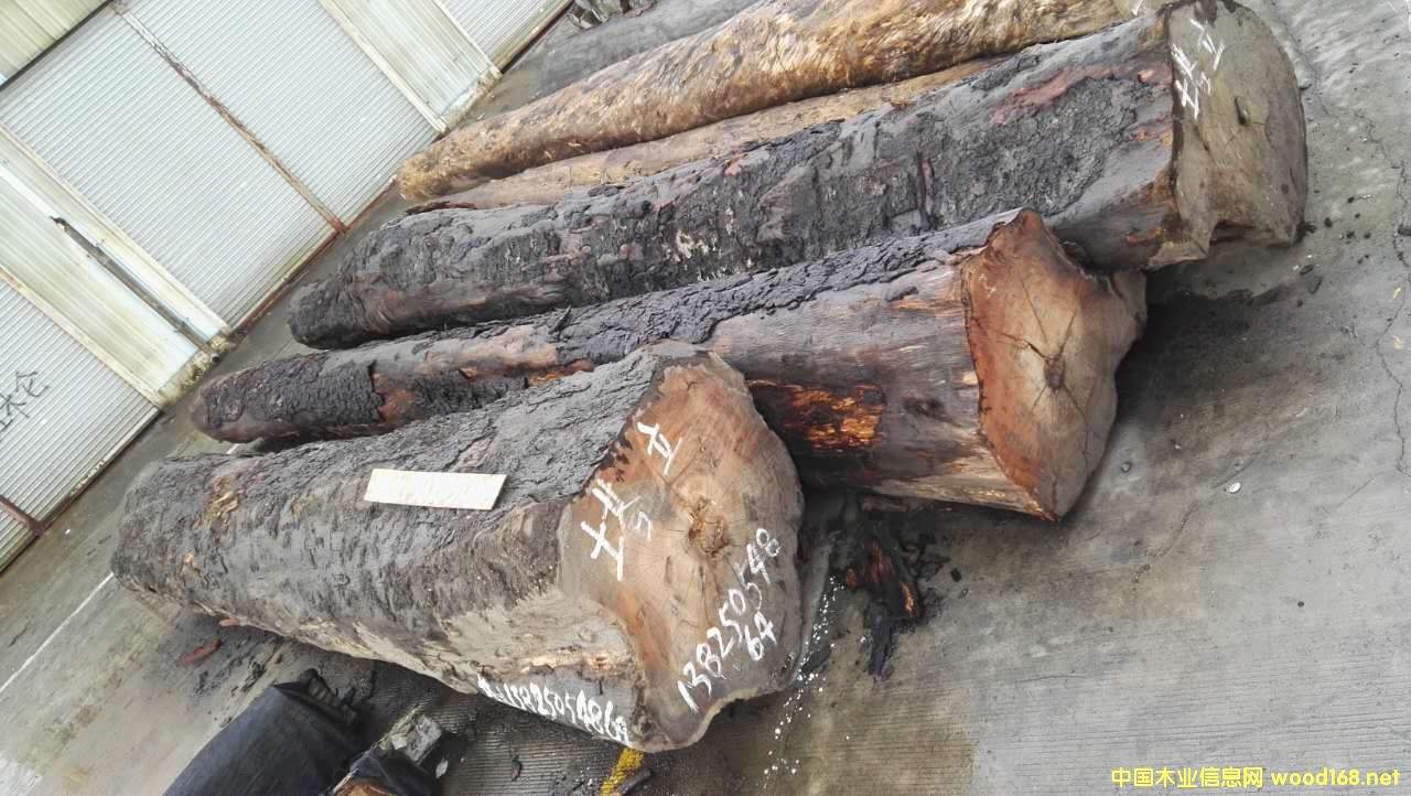 ���޲��}���Ԕ��(x��)��B