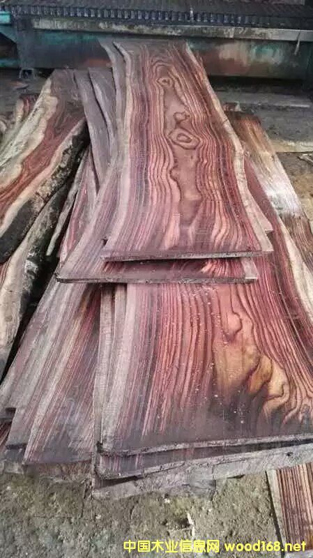 ӡ����~�S̴