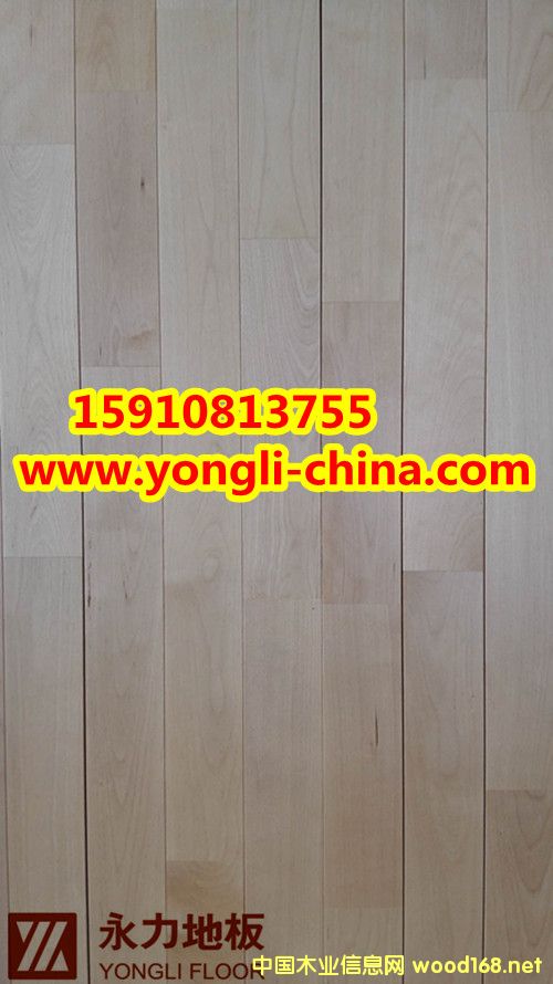 ��ľ�\(y��n)��ľ�ذ�