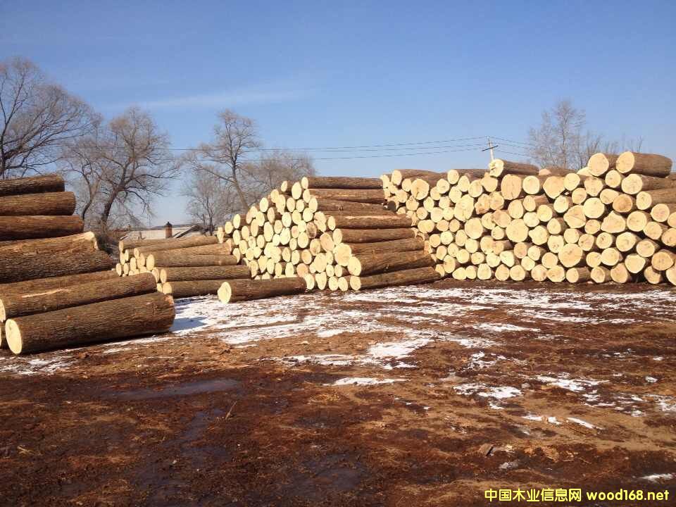 [��] ������Ϟ?z��i)������Xһ��