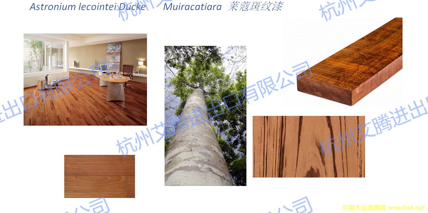 �Rޢ�߼y���Ԕ����B