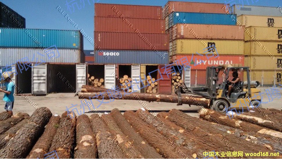 �����ɘ�ԭľ��Ԕ����B