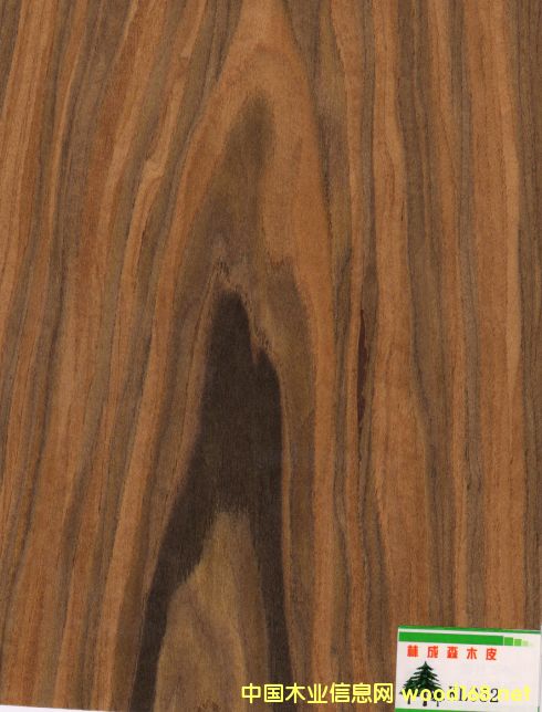 �Ƽ���֦ľƤ��Ԕ��(x��)��B