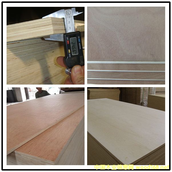 25�� 20mm�z�ϰ� ģ�߶��Ӱ�