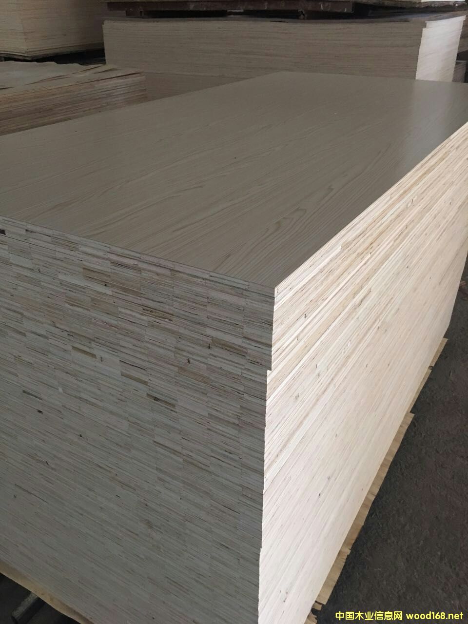 �����谷�Ҿ��z�ϰ�