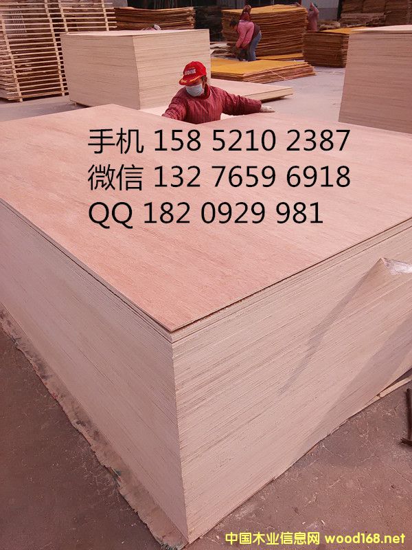 18mm�����z�ϰ� ���B(t��i)��