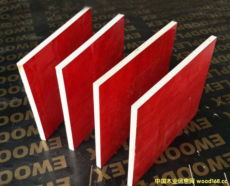 ����ģ��6