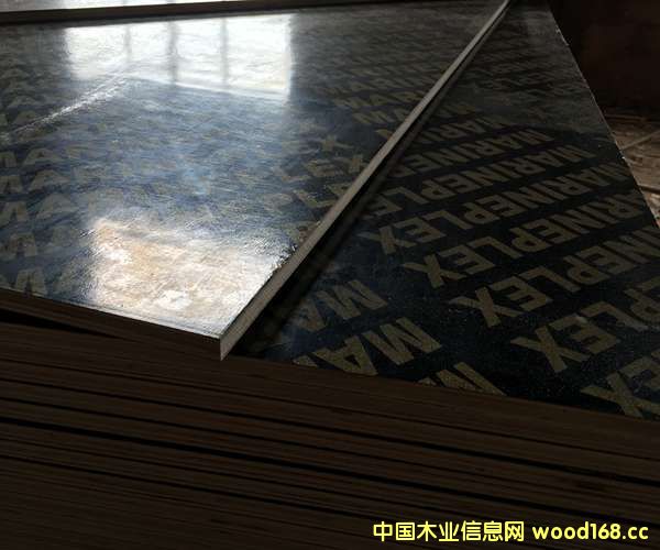 ����ģ��16