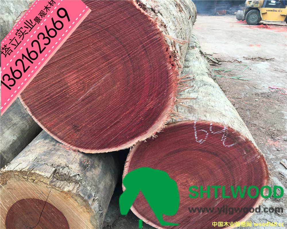 �c(di��n)���鿴�t��ľ���t�̈́ڶ����Ŵ�DƬ