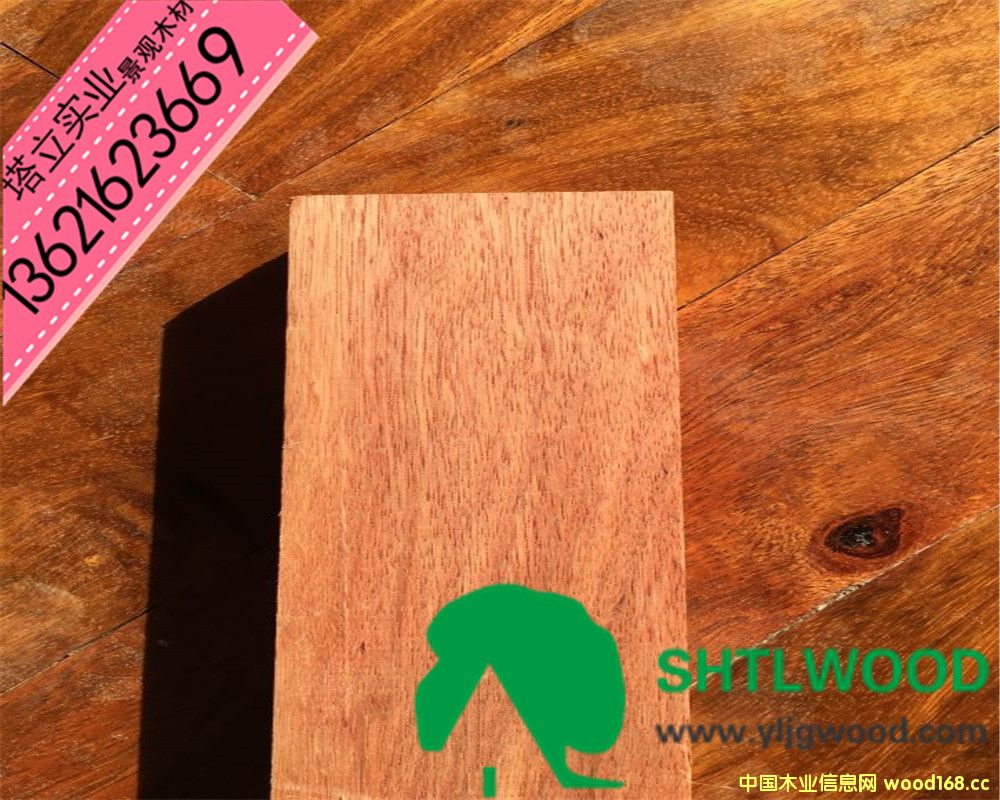 �c(di��n)���鿴��ľ�������������ľ�Ŵ�DƬ