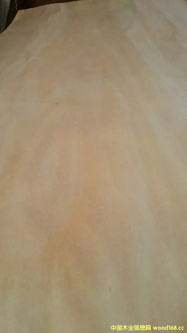 �һ�оľƤ��Ԕ��(x��)��B