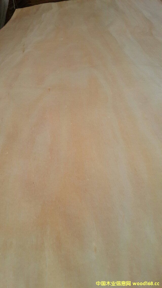 �W����ľƤ��Ԕ��(x��)��B