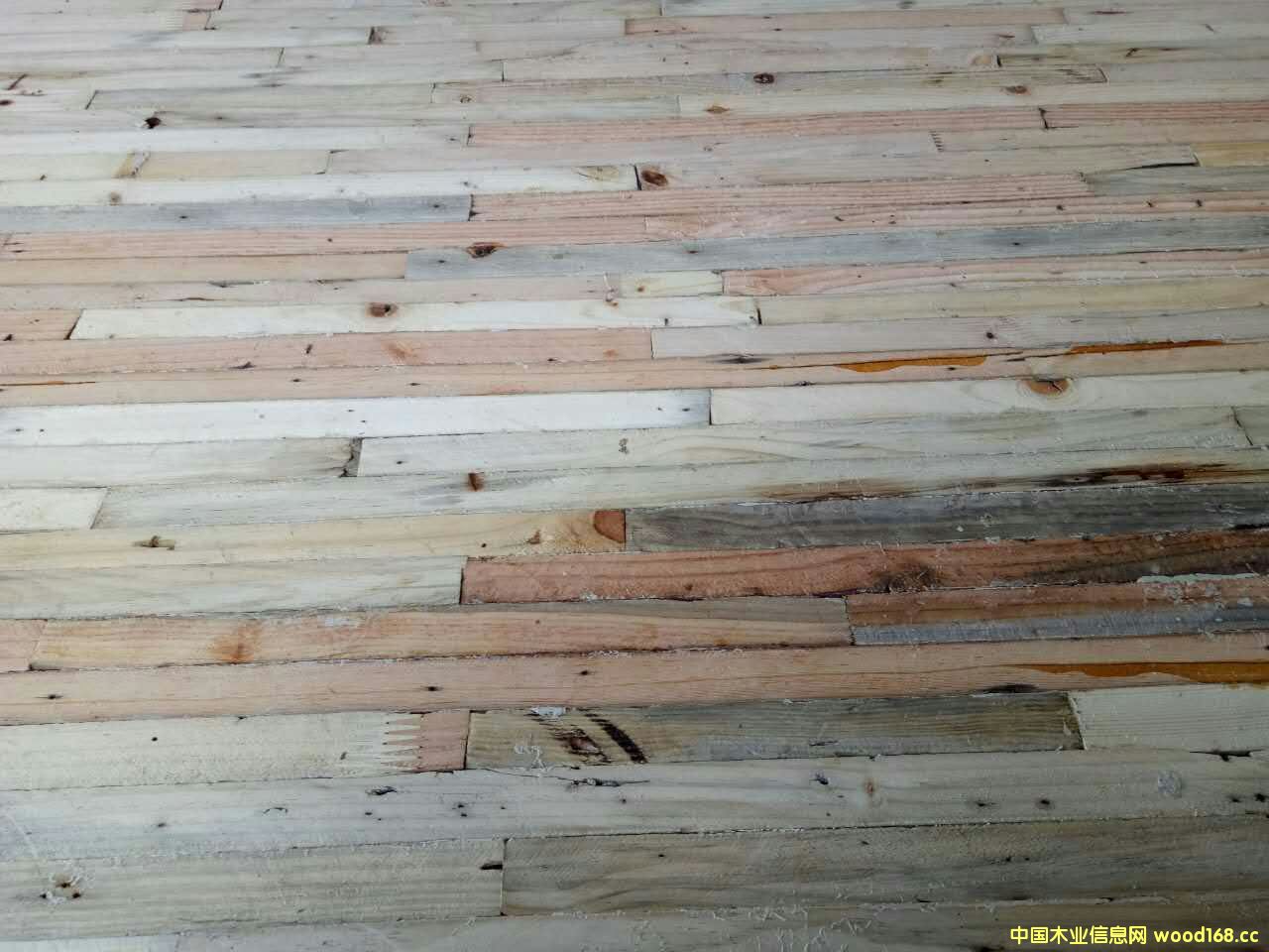 �c���鿴���f��ľ���ɲķŴ�DƬ