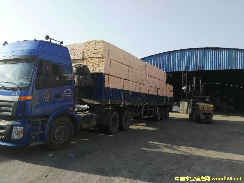 工廠實景 工廠實景