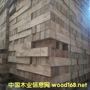 ��ľ�ȣ��NƤ��