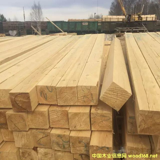 �����ɝ��䏲ģ���䏣�