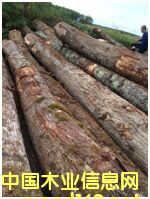 �t��2016-2��Ԕ����B