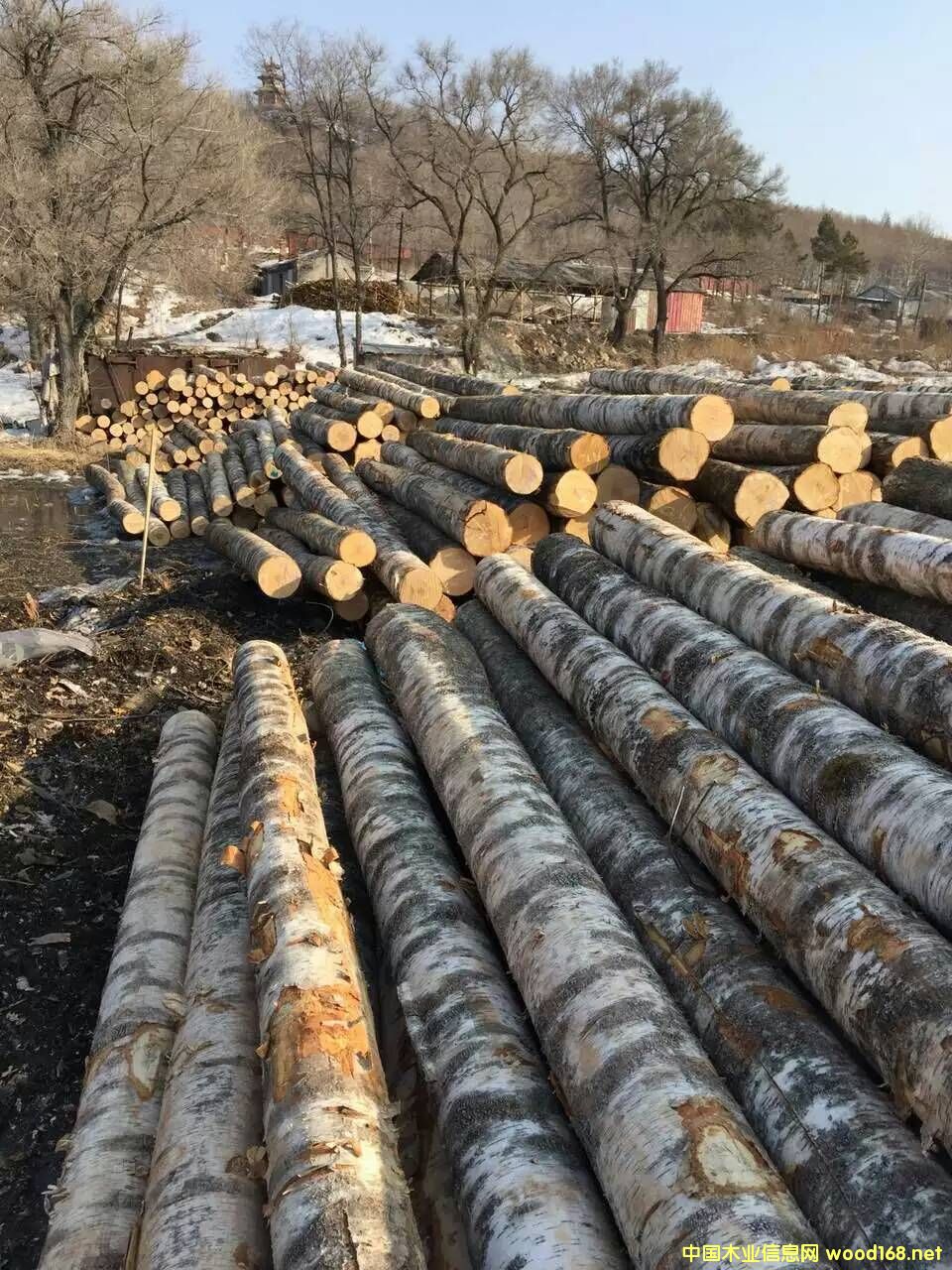 ��ľ�Aľ����