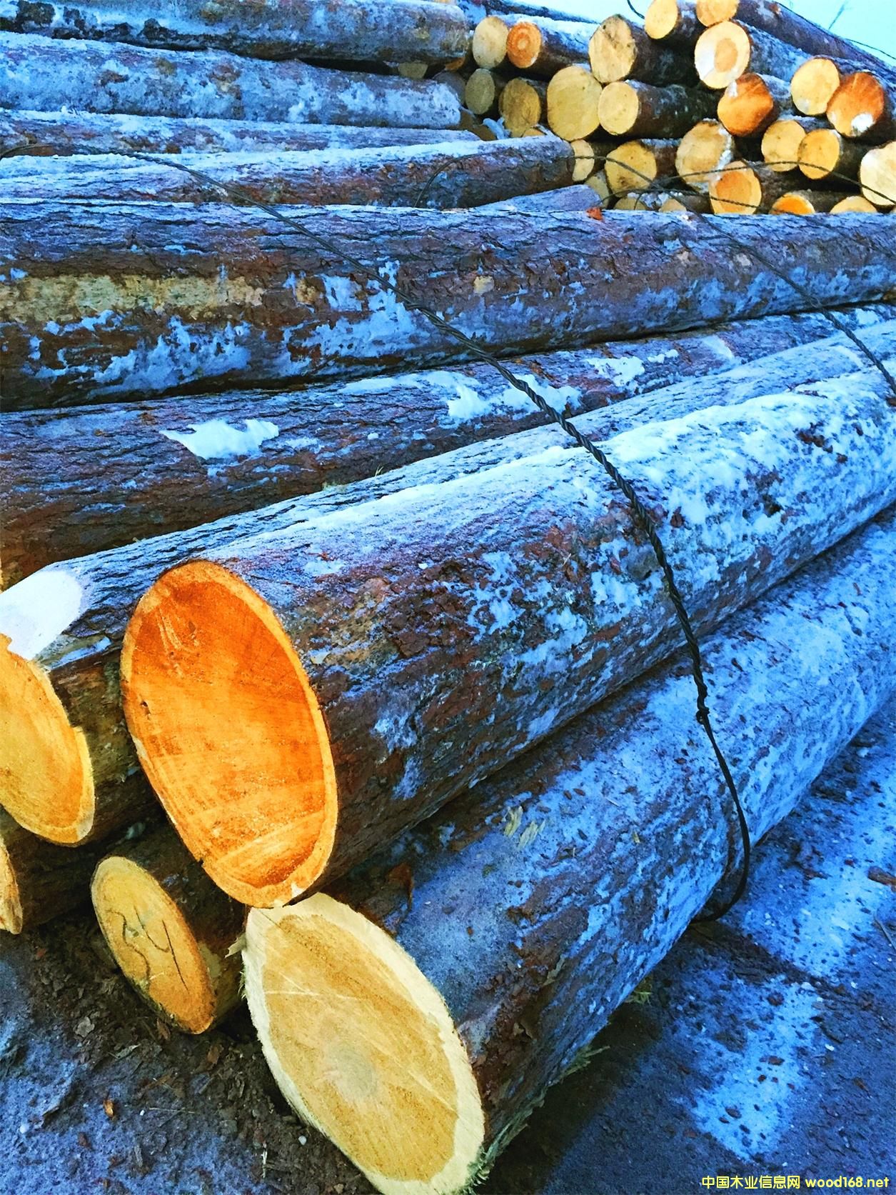 �t�� ԭľ6�צ�45��Ԕ����B