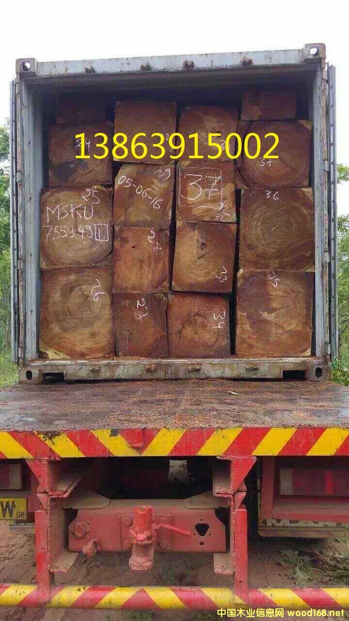 [��] �Ӽ{�Kľ���Ͼ���