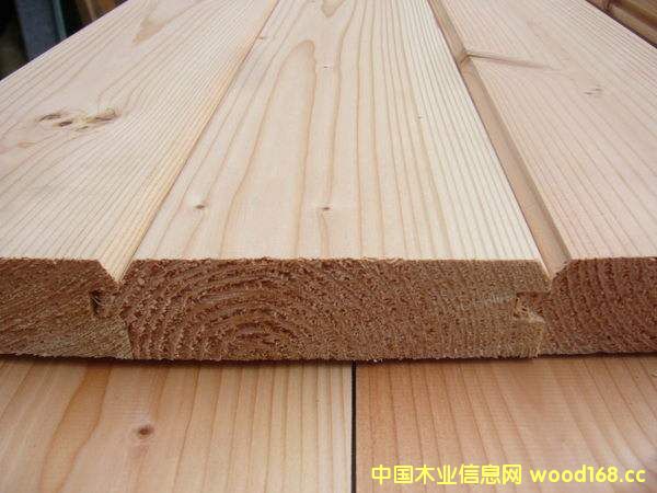 2016ľ��������P�c(di��n)��SPF����������������ɰ��ʲ����