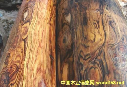 <����>����ľ����������ľ������̴��