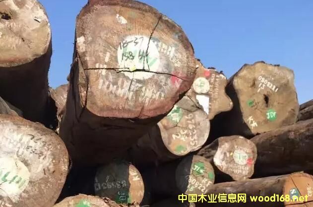 С���Rľ������������ ��ľ�����_ʼ���۶ڷe؛Դ