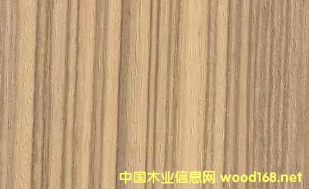 木材樹(shù)種詳解:小斑馬木