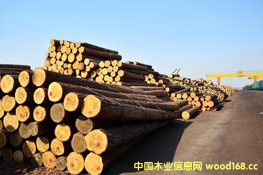 2017�Ї�(gu��)ľ���Ј�(ch��ng)�����A(y��)�y(c��)