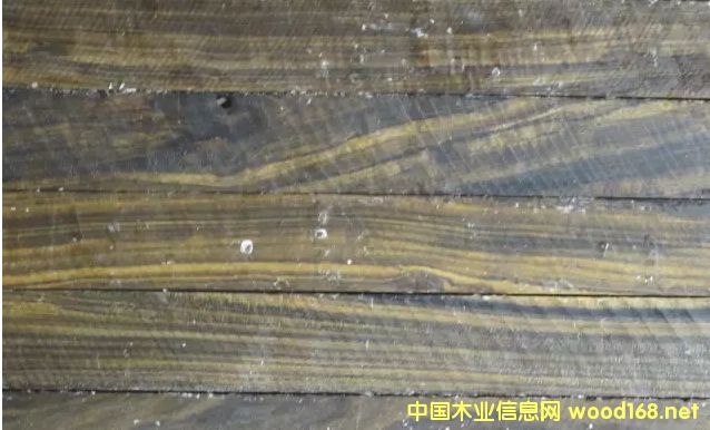 木材百科:沉貴寶木材產(chǎn)地和詳細(xì)特征