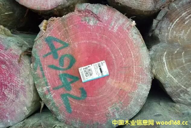 �����d�A�� ɭ��ľ�I(y��)��؛�������mݗ���ɣ�ס�џo��(ji��)��