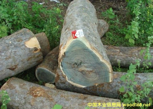 ľ���Ј���Ȉ�(b��o)�棺�G̴�Ј��F(xi��n)����m(x��)�߄��A(y��)�y