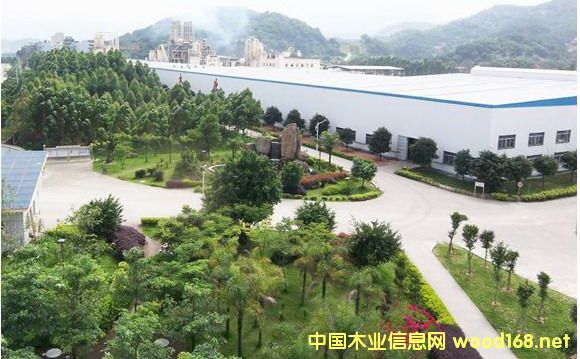 ���˼��F(tu��n)����ľ�I(y��)