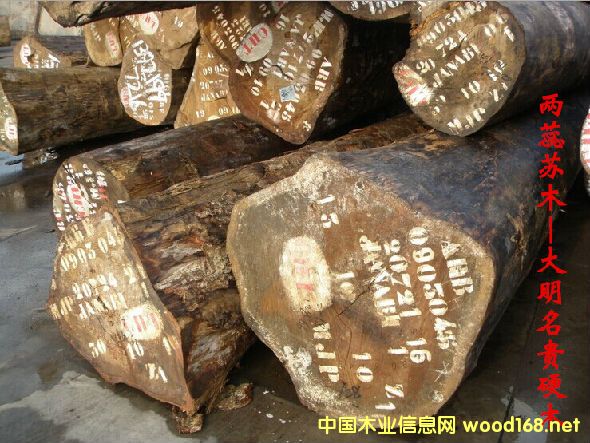 �����Kľ  �׷Q���S�|������z��ľ