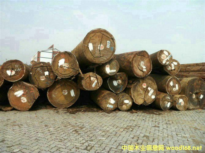 ���Ҹ�ľ���Ј�(ch��ng)������������_�T��ռ��(j��)����(k��)���(k��)��һλ��