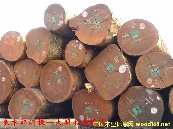 木材樹種詳解--良木非洲楝 俗稱:西浦、假沙比利