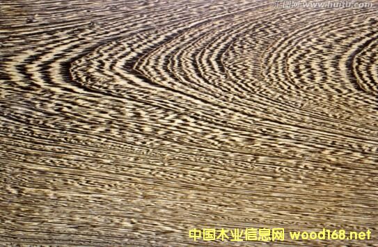 ˹�D�¶�ľ���u��ľ���ă�(y��u)�c(di��n)��ȱ�c(di��n)