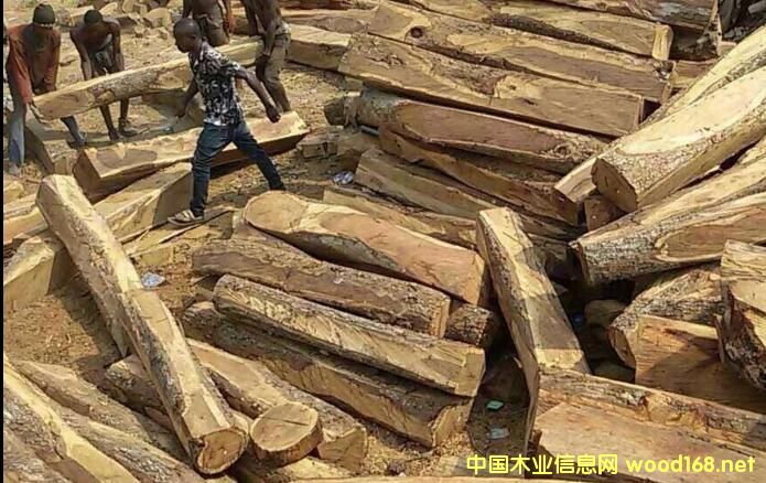 �tľԭ�Ĕ�(sh��)���J�p�r(ji��)�񯂝q �Ҿ���I(y��)��Α�(y��ng)��(du��)��