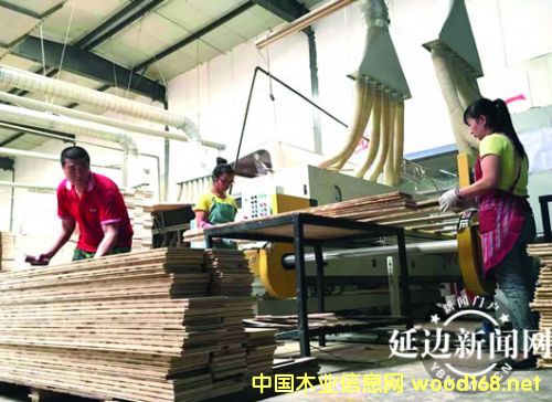 �ػ�ɭ̩ľ�I(y��)���Ƽ���(chu��ng)���A�W���Ј�(ch��ng)