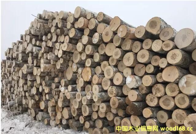 ���_˹��ľ��ֹ�������Ї���ľ�ӹ��ИI(y��)����ȥ�Ώ���