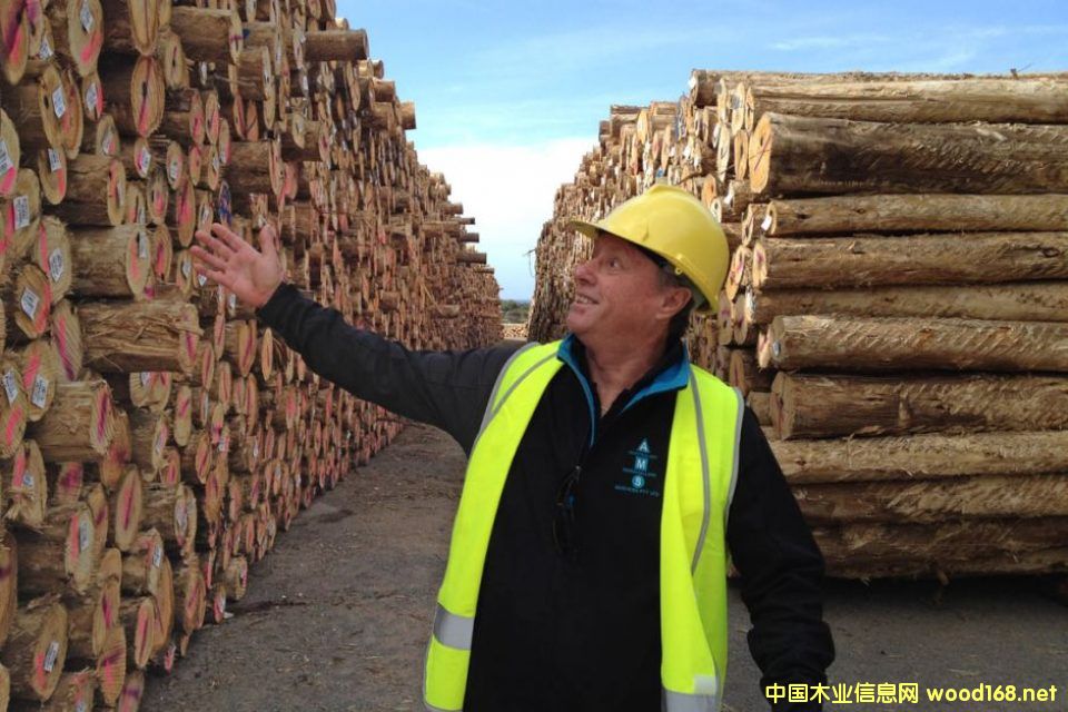 �Ĵ���������ľ�����Ї�(gu��)�ҵ����´�ꑡ�