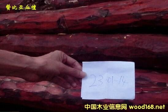 ��ȷ�����Ѫ̴��δ��������ô����