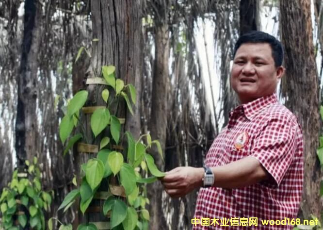 ľ�����ⲻ����������կľ�Ĵ���D(zhu��n)��