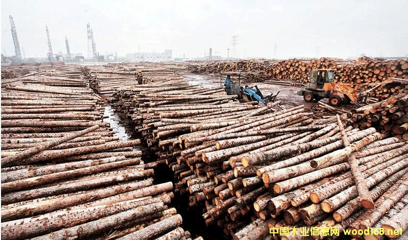 ���S��ľ�Įa(ch��n)�I(y��)�@--ԭľ�ѷe��ɽ