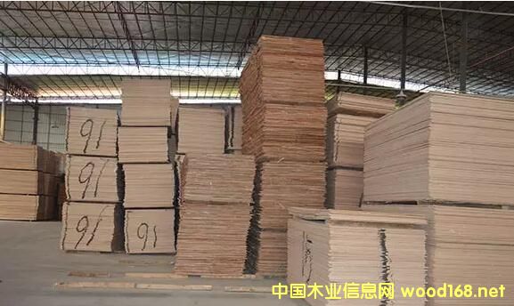 ľ���Ј��������R�������?q��)�����������ܵ��ˆ�?><br>
                      <font size=3><b>ľ���Ј��������R����</b></font></a></div>
                  </td>
                </tr>
                 
              </table>
              
            </td>
          </tr>
          </tbody> 
        </table>
        <table border=0 cellspacing=0 cellpadding=0 width=