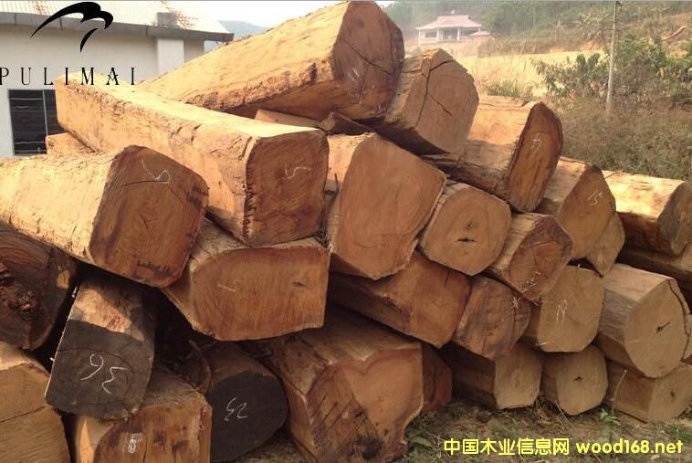 δ���tľ�Ј������黨��Q���ѳɶ���