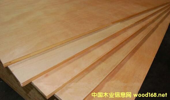 ��о��--�]���N������Ҫ�N��������NľƤ