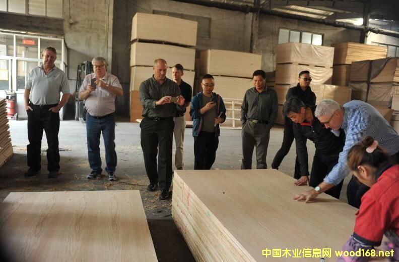 �W�޲�ُ(g��u)����F(tu��n)���^�R�ʴ��Aľ�I(y��)